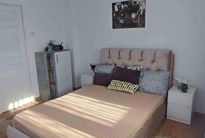 Vand casa Cornetu - 2