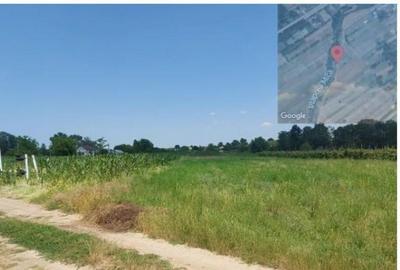Treren extravilan, Loc. Scornicesti, Jud Olt
