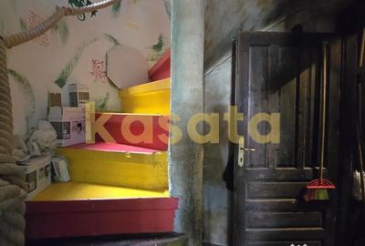 Casă cu 7 camere cu Teren 150 Mp în Grădina Icoanei - 15