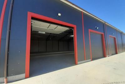 Doua hale lipite, total 1200mp, zona Drumul Intre Tarlale - 9