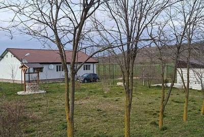 Teren de 90000 mp, în Peștera - 3