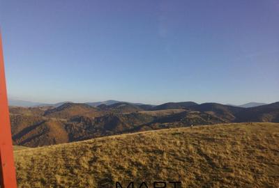 Casa individuala cu teren zona Paltinis - 2