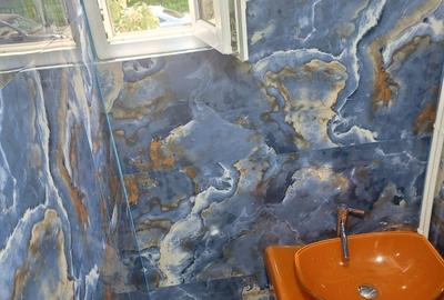 Gara de Nord, Stirbei Voda, Piata Victoriei, Romana, Cotroceni - 7