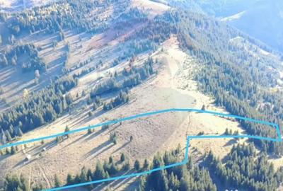 Teren de 47732 mp, în Panaci - 3