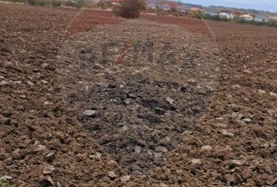 Teren Construcții intravilan de 15805 mp, în Ostratu - 3