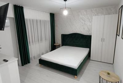 Apartament 1 camera de inchiriat - IC Frimu, 28 mp, complet mobilat - 2