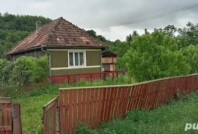 Vand casa in satul Nasal judetul Cluj Napoca , curte si gradina, total suprafa?a 22 de arii - 2