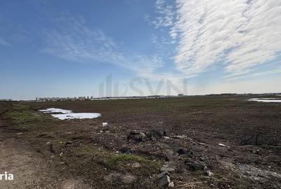 Teren de 13300 mp, în Tunari