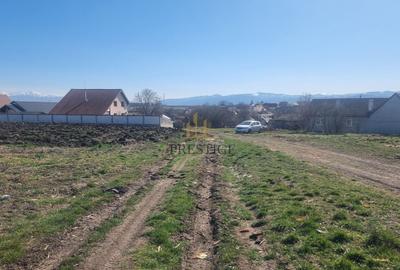 Teren Construcții intravilan de 450 mp, în Șura Mică - 1