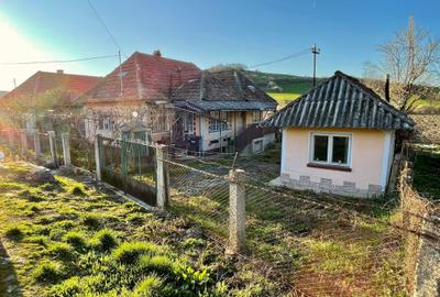 Casă cu 3 camere în Mineu - 1