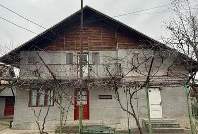 Proprietate completa in Sacuieni- Doua Case + Anexe - 1