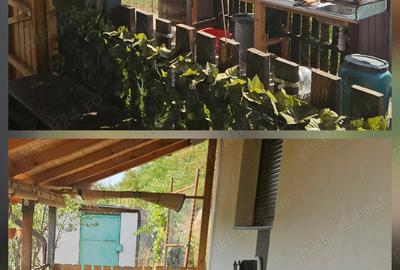 Casă cu 3 camere cu Teren 4600 Mp în Măstăcani - 2