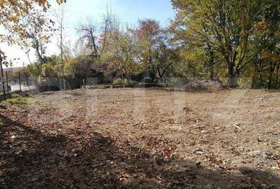 Teren Intravilan 1561mp Pucioasa - 2