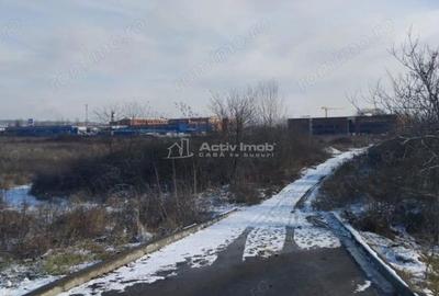 Teren de 4654 mp, în Centură - 4