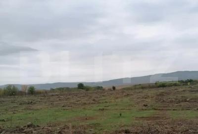 Teren de 4500 mp, în Tomești