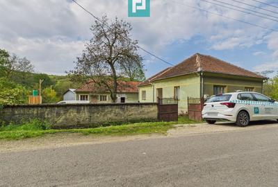 Casă cu teren generos Vărădia de Mureș - Stejar - 1