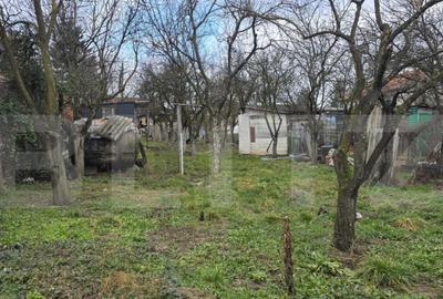 Teren de 1996 mp, în Viile Satu Mare - 6