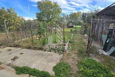 Casa individuala, zona Mehala, 740 mp teren - 10