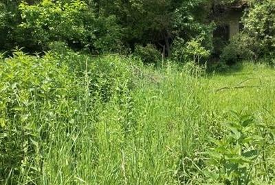 Domeniu verde autentic,  +5.000mp, front la DJ, Valcele, Brasov -- Covasna - 7