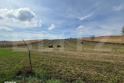 Spațiu comercial, în Paltin - 1