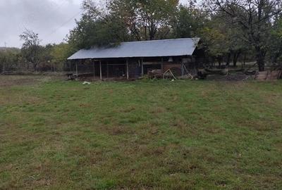 Spațiu comercial, de 240 mp, în Ștubeiu - 12