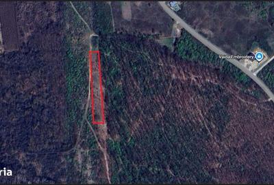 Spațiu comercial, în Paleu - 4