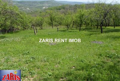 Teren de 3658 mp, în Bobicești - 2