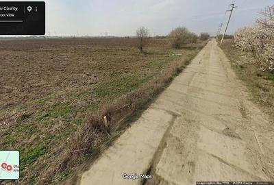 Teren de 1725 mp, în Dărăști-Ilfov - 3