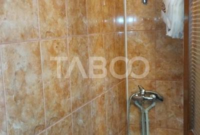 Cabana de vanzare in Ciuleni-Toplita langa lacul Cincis - 9