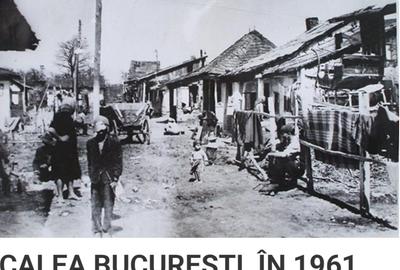 3 camere Calea București, RENOVAT/mobilat/utilat,finisaje superioare - 13
