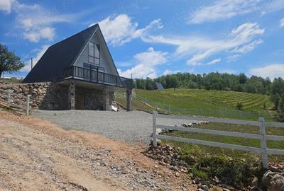 Vand cabana A-frame Damis - 4