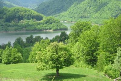 Teren de 700 mp, în Gura Siriului