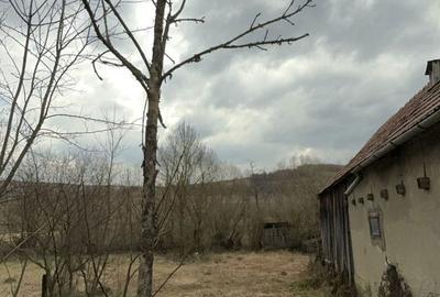 Casă cu 3 camere cu Teren 3500 Mp în Central - 7