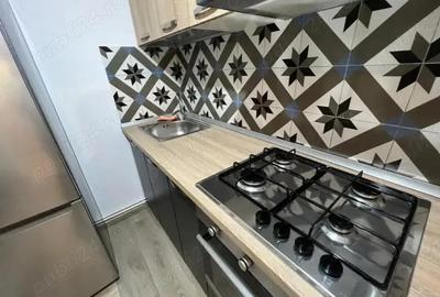 Apartament cu 1 camera in Tatarasi-Doi Baieti - 8