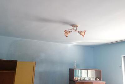 Casă cu 3 camere în Vidra - 2