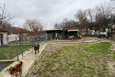 Teren de 1000 mp, în Central - 8