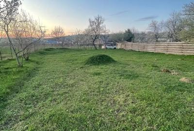 Teren intravilan 556mp Bârnova - pret negociabi - 2
