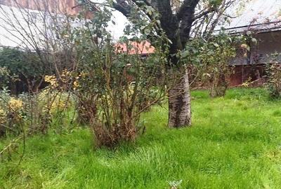 Pantelimon/Ilfov - 7