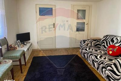 Casă cu 4 camere cu Teren 2522 Mp în Brateiu - 9
