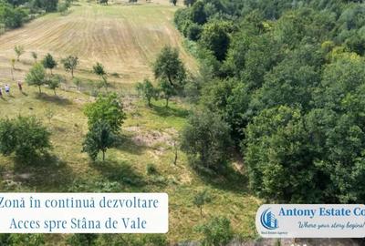 Spațiu comercial, de 195 mp, în Budureasa - 1