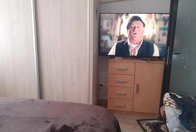 Apartament cu 2 camere decomandat în Plantelor - 6