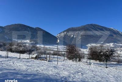 Teren de 1000 mp, în Tohănița