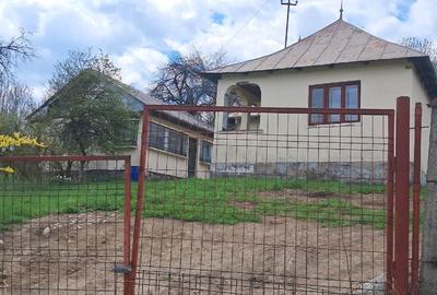 Casă individuală cu 5 camere cu Teren 2671 Mp în Plaiu (Provița de Sus) - 4