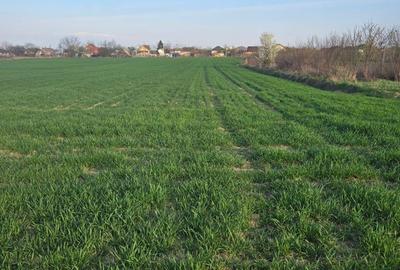 Spațiu comercial, în Lazuri - 1