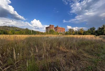 Bocsa Teren 9400 Mp Intravilan - 1