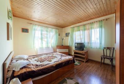 Casa rustica P+1 in zona de deal - Bogati, AG - 6