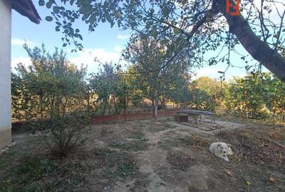 Casă individuală cu 4 camere cu Canalizare în Urseni - 9