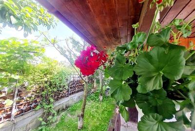 Vila luminoasa, gradina proprie, priveliste panoramica spre munti, Harman, Braso - 4