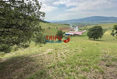 Teren cu priveliște și pădure pentru cabane de vânzare î Teren cu priveliște și pădure pentru cabane de vânzare î - 9