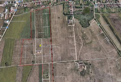 Teren intravilan constructii case-Sacalaz - 2